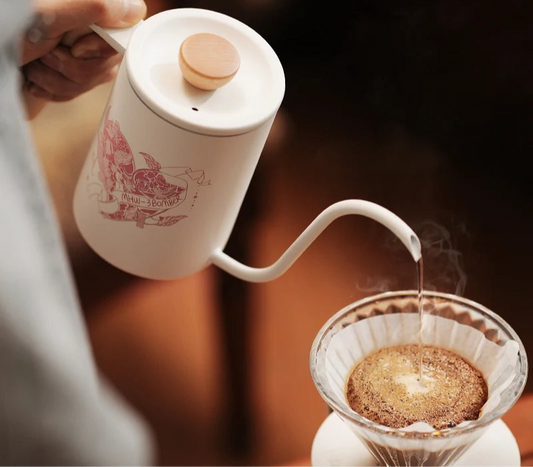 The Gooseneck Coffee Kettle